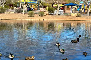 40309 N La Cantera Ct, Phoenix, AZ 85086 - Photo 65