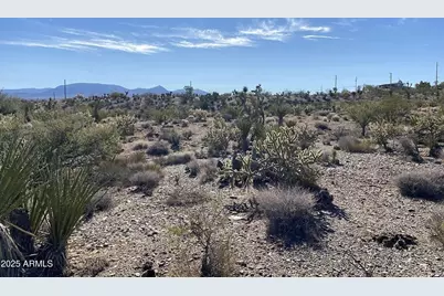 28915 N Pierce Ferry Road #-, Meadview, AZ 86444 - Photo 11