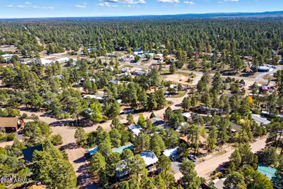 3490 Black Bear Run, Overgaard, AZ 85933 - Photo 29