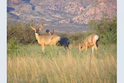 M223 E Cougar Trail #223, Saint David, AZ 85630 - Photo 17