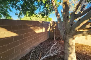 4830 W Shannon Ct, Chandler, AZ 85226 - Photo 25