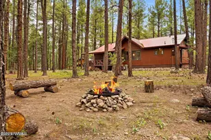 4 Co Rd 2089, Alpine, AZ 85920 - Photo 41