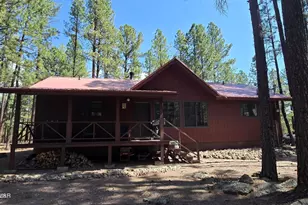 4 Co Rd 2089, Alpine, AZ 85920 - Photo 3