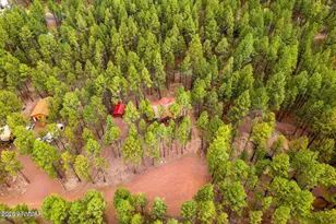 4 Co Rd 2089, Alpine, AZ 85920 - Photo 45