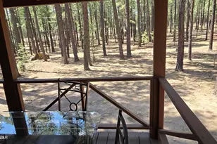 4 Co Rd 2089, Alpine, AZ 85920 - Photo 11