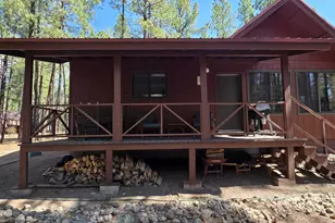 4 Co Rd 2089, Alpine, AZ 85920 - Photo 9