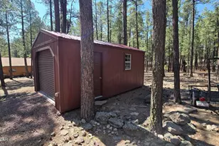 4 Co Rd 2089, Alpine, AZ 85920 - Photo 5