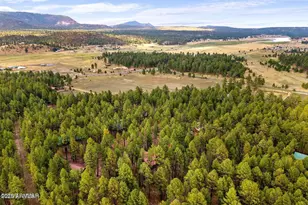 4 Co Rd 2089, Alpine, AZ 85920 - Photo 47