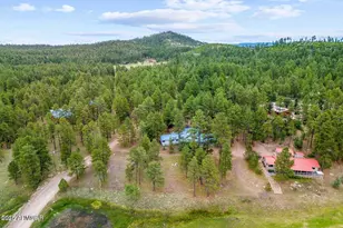 52 County Rd 2271, Alpine, AZ 85920 - Photo 33