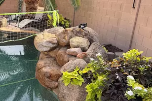 17239 W Ironwood St, Surprise, AZ 85388 - Photo 43