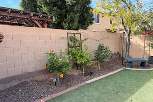 17239 W Ironwood St, Surprise, AZ 85388 - Photo 39