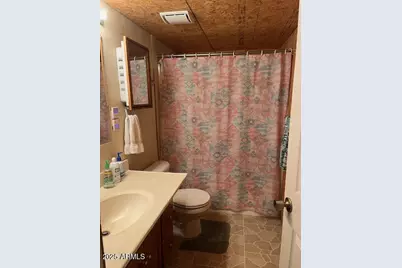 5468 Apache Trail, Pinetop, AZ 85935 - Photo 63