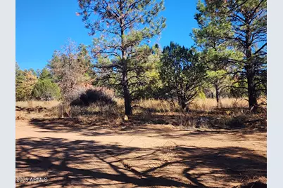 Tbd Cedar Bark Trail Parcel #4 --, Overgaard, AZ 85933 - Photo 3