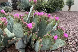 19035 N Aztec Point Dr, Surprise, AZ 85387 - Photo 1