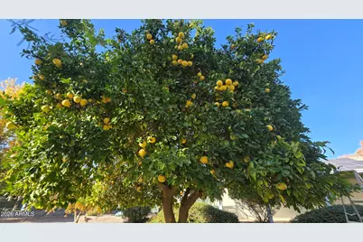 17633 W Ocotillo Road, Waddell, AZ 85355 - Photo 55