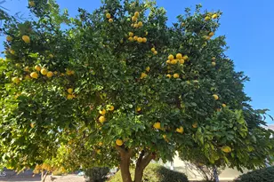 17633 W Ocotillo Rd, Waddell, AZ 85355 - Photo 55