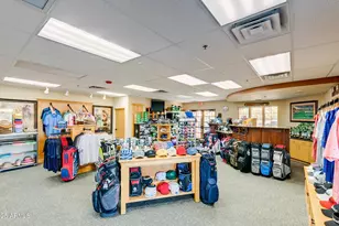 234 Leisure World, Mesa, AZ 85206 - Photo 43