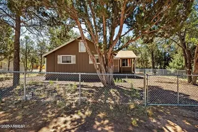 3355 Little Pine Drive, Overgaard, AZ 85933 - Photo 9