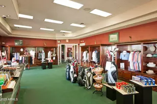 9847 E Stoney Vista Dr, Sun Lakes, AZ 85248 - Photo 35