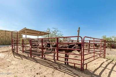 31930 N 169th Avenue, Surprise, AZ 85387 - Photo 33