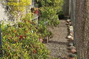 4037 E Minnezona Ave, Phoenix, AZ 85018 - Photo 59