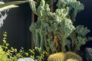 1 Easy St, Carefree, AZ 85377 - Photo 49