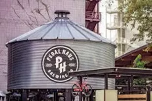 150 E Jasmine St, Mesa, AZ 85201 - Photo 31