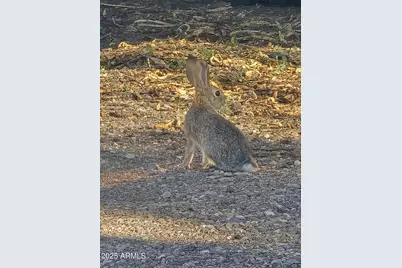 10558 E Boise Street, Apache Junction, AZ 85120 - Photo 21