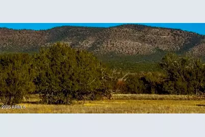 0 Johnny Ridge Rd 37 Acres -- #1296, Seligman, AZ 86337 - Photo 9