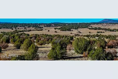 0 Johnny Ridge Rd 37 Acres -- #1296, Seligman, AZ 86337 - Photo 21