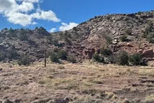 1445 County Road 4365 --, Springerville, AZ 85938 - Photo 53