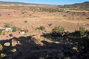 1445 County Road 4365 --, Springerville, AZ 85938 - Photo 39