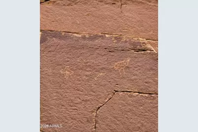 1445 County Road 4365 --, Springerville, AZ 85938 - Photo 65