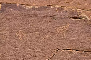 1445 County Road 4365 --, Springerville, AZ 85938 - Photo 65