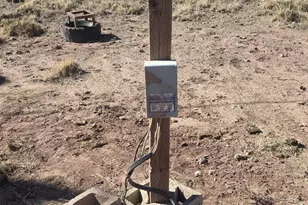 1445 County Road 4365 --, Springerville, AZ 85938 - Photo 27