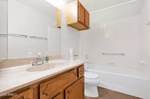 4329 E Capri Ave, Mesa, AZ 85206 - Photo 19