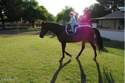 2323 W Harrison Street, Chandler, AZ 85224 - Photo 3