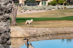 27789 N 129th Ln, Peoria, AZ 85383 - Photo 101