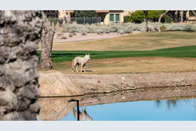 27789 N 129th Lane, Peoria, AZ 85383 - Photo 123