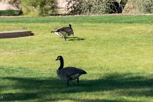 27789 N 129th Ln, Peoria, AZ 85383 - Photo 113