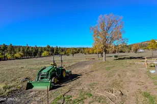 685 Kuhn Rd, Pinedale, AZ 85934 - Photo 5