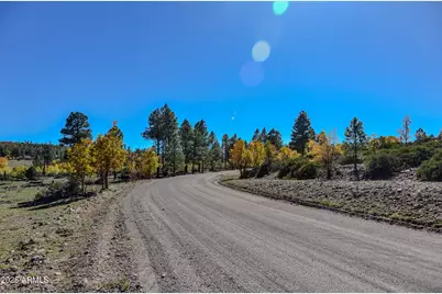 685 Kuhn Road, Pinedale, AZ 85934 - Photo 63