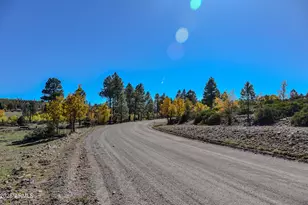 685 Kuhn Rd, Pinedale, AZ 85934 - Photo 63