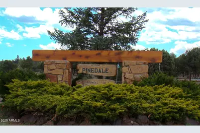 685 Kuhn Road, Pinedale, AZ 85934 - Photo 45