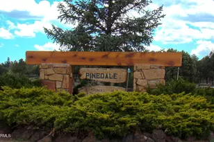 685 Kuhn Rd, Pinedale, AZ 85934 - Photo 45