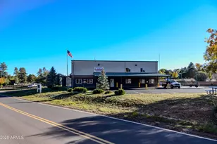 685 Kuhn Rd, Pinedale, AZ 85934 - Photo 53