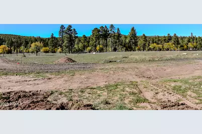 685 Kuhn Road, Pinedale, AZ 85934 - Photo 47