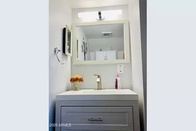 14256 N Boxwood Lane #158B, Fountain Hills, AZ 85268 - Photo 19