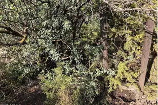 2062 E Horseshoe Springs Rd, Globe, AZ 85501 - Photo 27