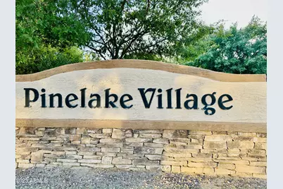 492 E Rainbow Drive, Chandler, AZ 85249 - Photo 55